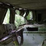 Uma só teoria da conspiração sobre a Covid-19 matou 800 pessoas e 60 ficaram totalmente cegas nos Estados Unidos