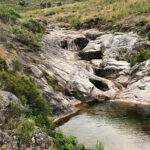 Há 12786 pessoas infetadas com Covid-19 em Portugal