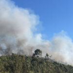 UMinho lança seta edição de programa avançado de marketing digital e E-Business