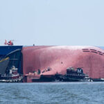 Parasita ‘vampiro’ substitui língua dos peixes e alimenta-se do seu sangue