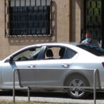 Árvores de interesse público concentradas em Lisboa