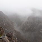 Ordem dos Médicos critica postura “inaceitável” da ARS do Alentejo