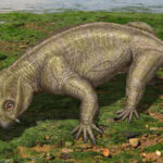 Estudo de 24 mil sonhos sugere que são mesmo continuações da realidade