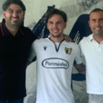 Pica-paus estão há anos numa guerra secreta entre fações