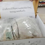 Portugueses integram direção da Associação Europeia de Cardiologia de Intervenção