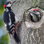 Em meia hora, computadores resolveram problema matemático sem solução há 90 anos