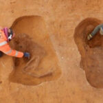 Plantar um trilião de árvores ajuda o planeta? Depende