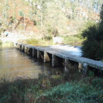 Encontro virtual reúne Unidades de AVC de todo o país para debater o estado da arte da patologia