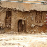 Zero pede suspensão de novas centrais de biomassa