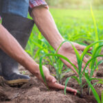 Terras de Bouro registou em 2019 a maior subida da região Norte no grau de segurança da água de abastecimento público