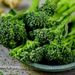 Psicólogos revelam truque para estabelecer contacto com gatos