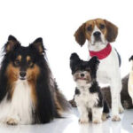 Facebook doa um milhão para ajudar a salvar instalação militar secreta da II Guerra Mundial