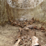 Uma rara “anomalia climática” agravou a 1.ª Guerra e a gripe espanhola