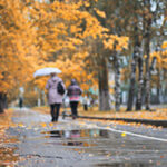 165 anos do Município de Vila Verde reconhece méritos de pessoas, instituições e empresas