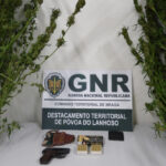 PSD de Terras de Bouro congratula-se com doutoramento de António Afonso