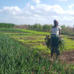 Arquidiocese e Câmara de Braga discutem em tribunal posse do “Parque da Ponte”