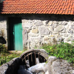 Médicos alertam para “grave sobrecarga” nas urgências pela Linha SNS 24