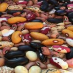 Portugal com novos recordes, há mais 4656 casos de Covid e 40 mortos