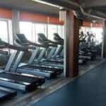 Comité Anti-tortura insta Portugal a combater maus-tratos policiais