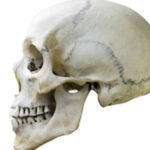 Bebé de um ano em estado grave após cair de uma janela em Braga