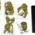 Terras de Bouro implementa Programa de Promoção de Competências Linguísticas