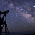 Mensagem militar alemã enviada por pombo-correio aparece 110 anos depois