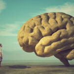 Cerca de 150 mil pessoas receberam o seu Cartão de Cidadão em casa