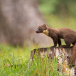 Cientistas chineses criam computador 100 mil milhões de vezes mais rápido do que qualquer outro