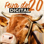 Morreu idosa de 92 anos de Lar de Ponte de Lima