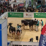 Eis as medidas do confinamento que entram em vigor às 00h00 de sexta-feira