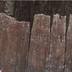 Mais um jogador infetado no Vitória SC