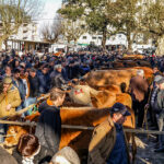 Henriques Almeida é o novo Comandante Distrital da PSP de Braga