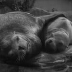 Corpo humano produz 3,8 milhões de células por segundo