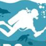 Cabeçada de Steven Vitória dá a vitória ao Moreirense na Choupana