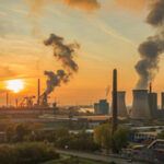 Cientistas explicam porque é que os crocodilos mudaram tão pouco desde o tempo dos dinossauros