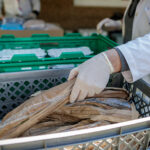 Carvalhal elogia Roma: “Quando há seleções, o Paulo Fonseca fica sozinho”