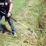 Petição pela reabertura dos cabeleireiros já pode ir a debate parlamentar