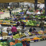 Portugal regista mais 203 mortes e 2583 contágios