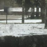 Escola de Medicina da UMinho lembra dia internacional da Mulher e Meninas na Ciência com a palestra ‘Será que a ciência tem género?’