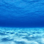 Bloco quer implementação de medidas que facilitem o trânsito de trabalhadores transfronteiriços