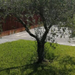 SC Braga-Benfica: Águias no Minho para vingar derrotas nos últimos duelos