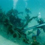 Invenção do médico Wu Lien-teh, pai da saúde pública chinesa, permanece hoje, mais do que nunca