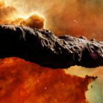 Mary Toft, a enigmática mulher que ficou conhecida por “dar à luz“ coelhos