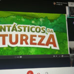 Vila Verde foi o Município do Minho que menos ajustes diretos fez em 2020