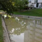 ICNF diz que estão regularizadas indemnizações por causa dos lobos