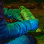 Traficantes de droga estão a ser raptados e torturados em cidade do Reino Unido