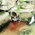 Ricardo Rio nomeado Embaixador do Covenant of Mayors para o Clima e Energia