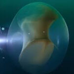 China tem uma nova e inesperada arma contra as críticas à repressão dos uigures