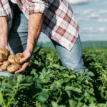 João Graça reconduzido com diretor da Secundária de Vila Verde