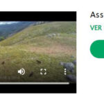 Mais de metade dos trabalhadores querem regressar ao local de trabalho